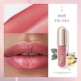 thumbnail image 2 of Repulpeur pour Lèvres, Gloss Repulpant, Gloss Repulpant, Encre à Lèvres au Gingembre Longue Tenue, Baume à Lèvres Teinté à l'Huile pour les Lèvres Fard à Joues Liquide, Gloss Repulpeur Longue Tenue Rouge à Lèvres pour Nourrir les Lèvres (#02), 2 of 7