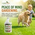 thumbnail image 4 of GS Plant Foods Organic Liquid Humic Acid with Fulvic - Concentrate Fertilizer for Enhanced Nutrient Uptake and Soil Conditioning - 1 Gallon, 4 of 9