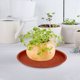thumbnail image 5 of COSMOBETTY 5Ud Plastic Plant Pot Baseplate Flower Pot Tray with Water Absorber, 5 of 5