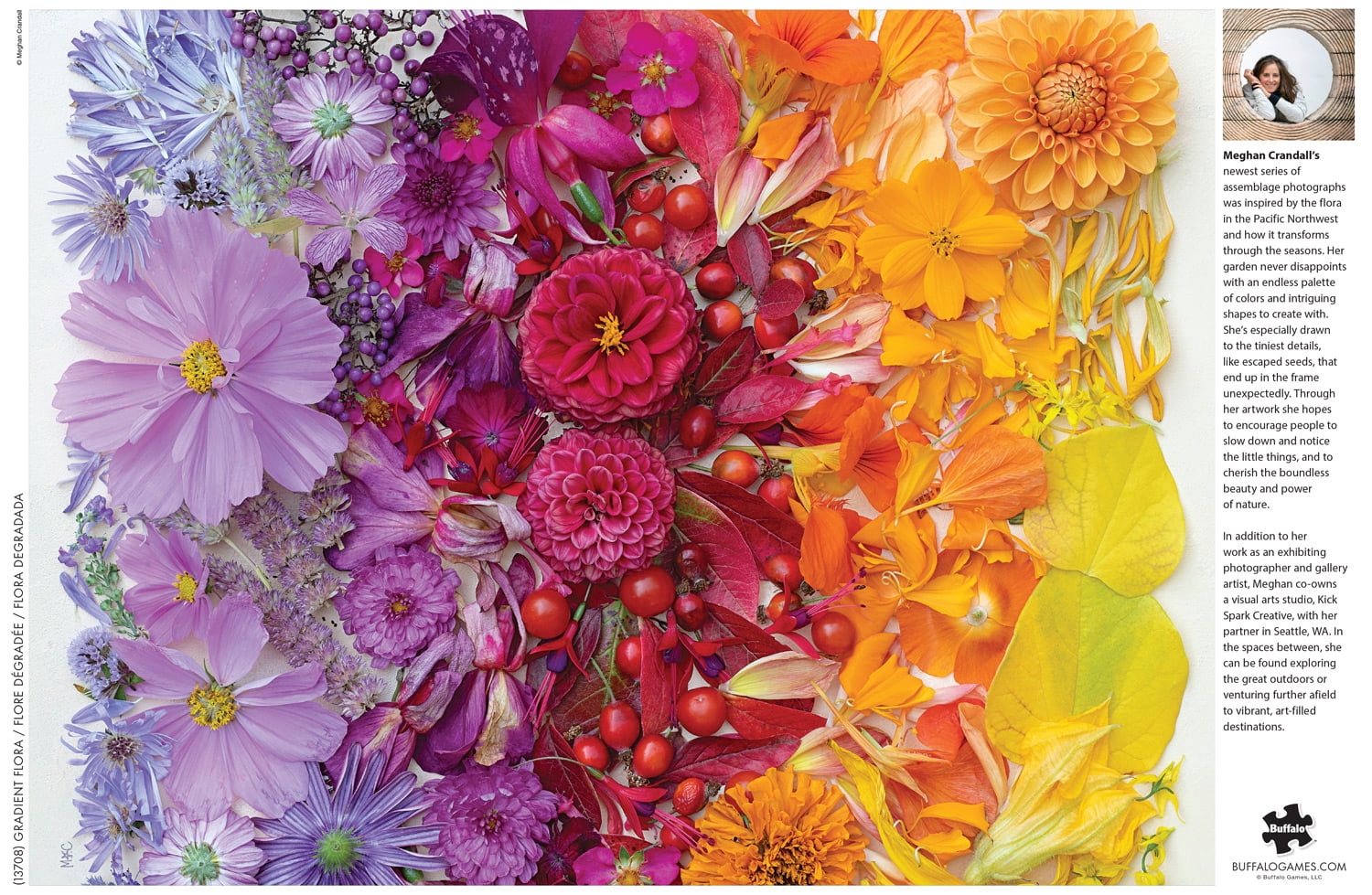 Buffalo Games Bonjour Gradient Flora 1000-Piece Interlocking Jigsaw Puzzle for Adults Ages 14+