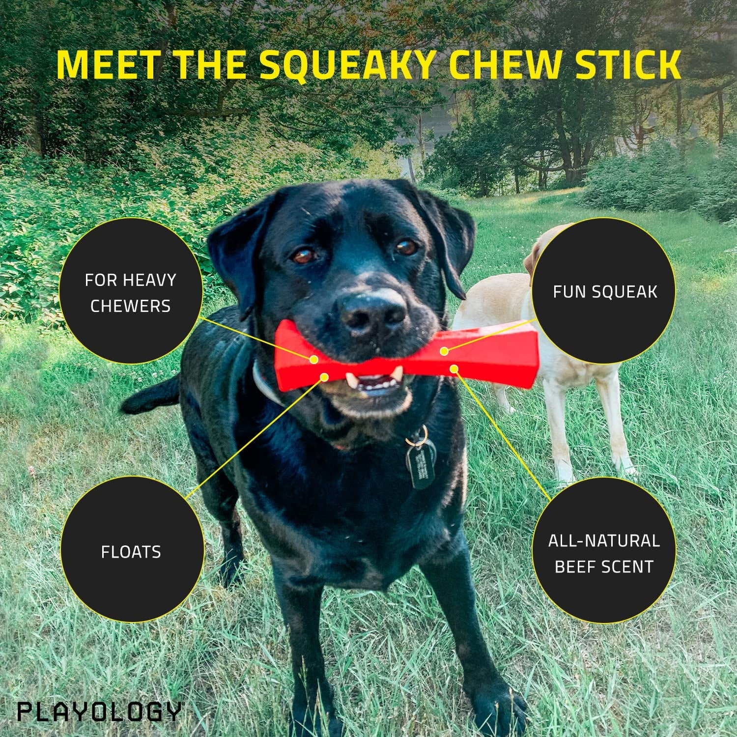 Playology Squeaky Scented Chew Stick Dog Toy - Peanut Butter