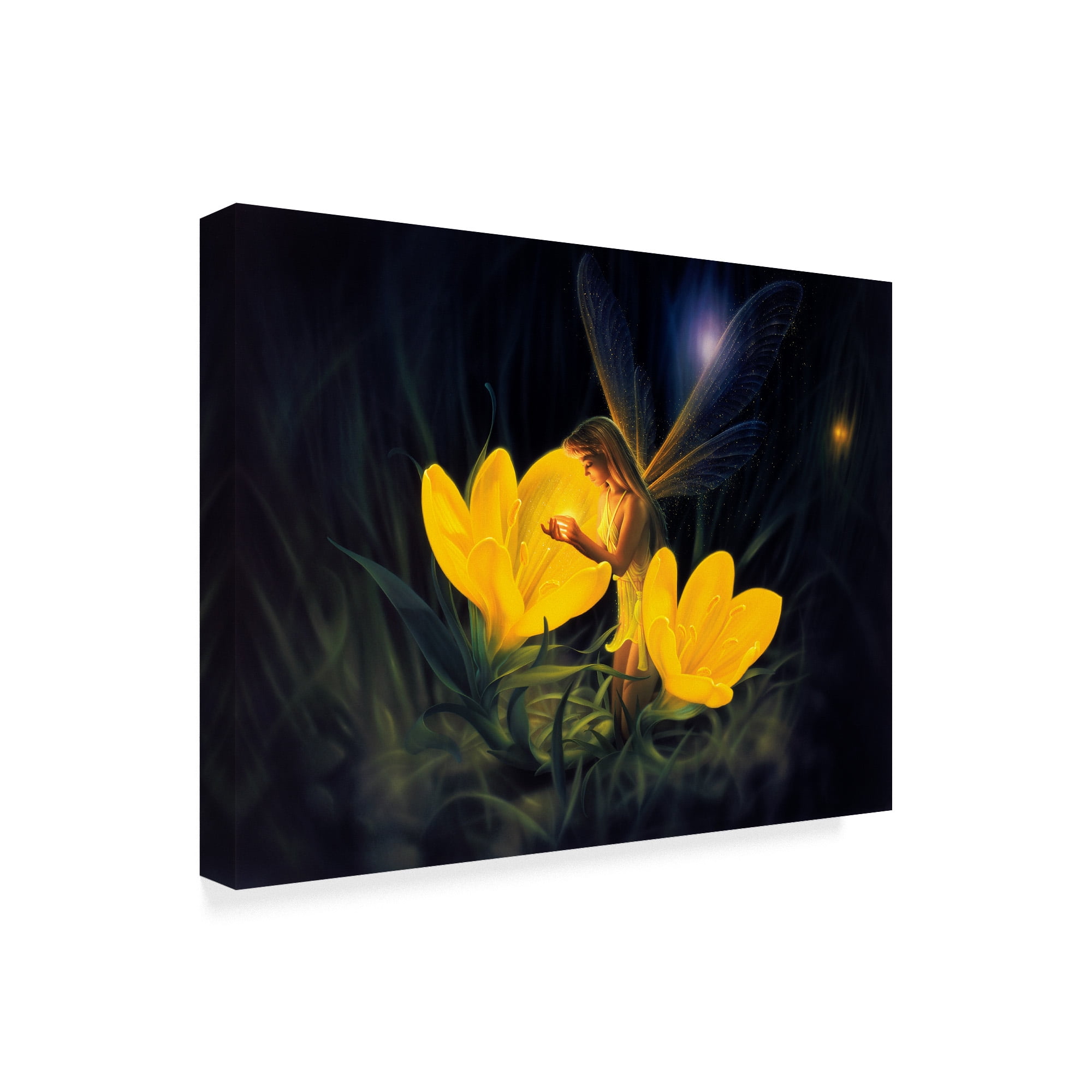 Trademark Fine Art 'Night Harvest Fairy' Canvas Art by Kirk Reinert