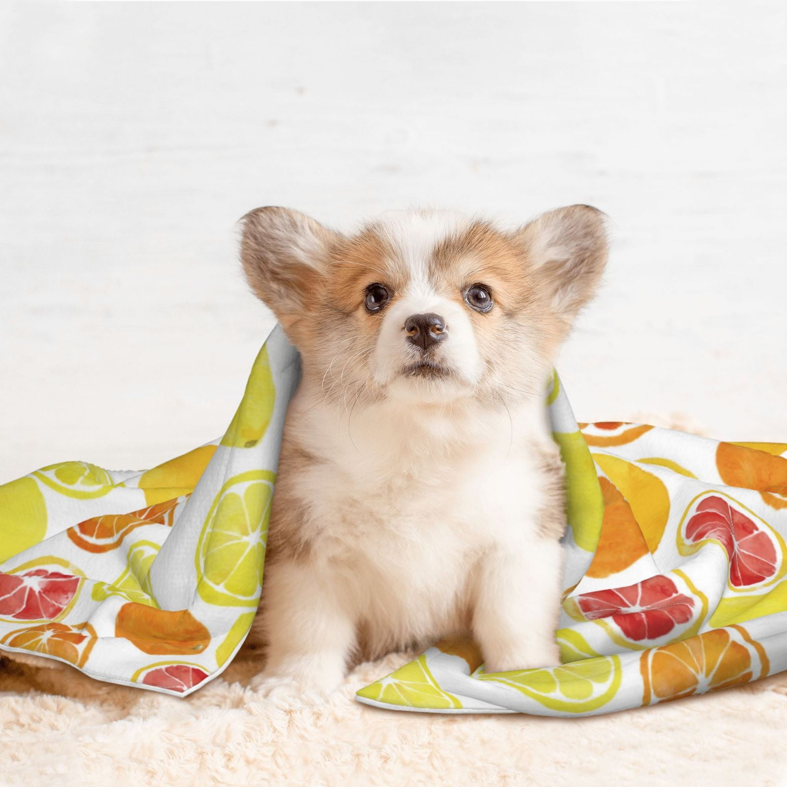 Naloa Lemon Orange Dog Blanket, 3 Sizes Cat Blanket for Indoor Cats Large Medium Small Dog Gifts-
