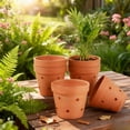 thumbnail image 3 of Round Terracotta Clay Orchid Pot with Porous for Root Development 6 Count, 3 of 5