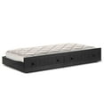 thumbnail image 2 of Hillsdale Furniture Staci Arched Wood Twin Daybed with Trundle, Classic Black, 2 of 2