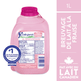thumbnail image 2 of Dairyland 1% Strawberry Milk Beverage, 2 of 7