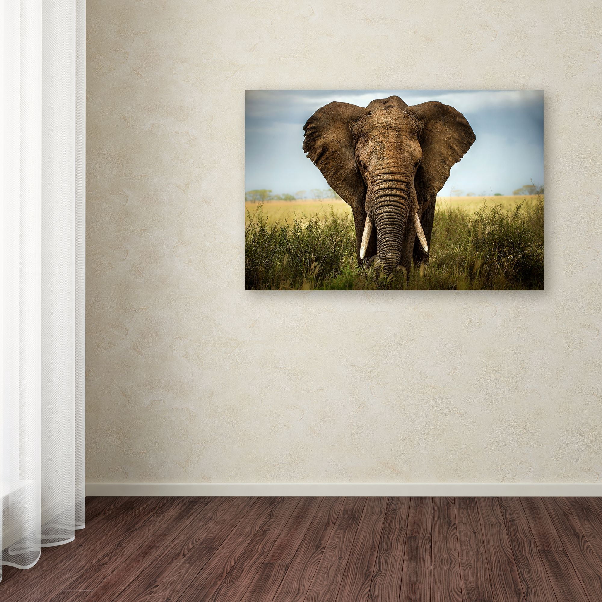 Trademark Fine Art 'Encounters In Serengeti' Canvas Art by Alberto Ghizzi Panizza