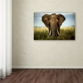 thumbnail image 3 of Trademark Fine Art 'Encounters In Serengeti' Canvas Art by Alberto Ghizzi Panizza, 3 of 3