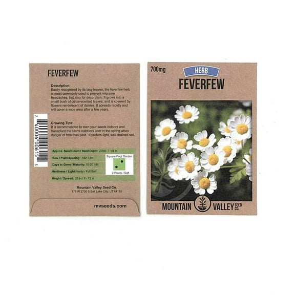 Mountain Valley Seed Company 700 Mg Feverfew Garden Seeds, Non-GMO
