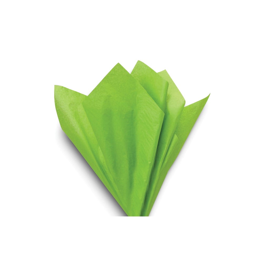Colorful Confetti 6 Paper Bags and 20 Sheets Tissue Paper Set