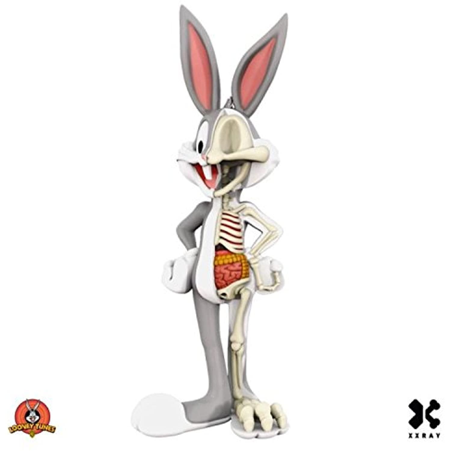 Mighty Jaxx XXRAY Looney Tunes DAFFY DUCK 4" Dissected Vinyl Art Figure 