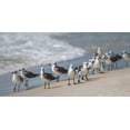 thumbnail image 2 of Head, Danny 18x11 Gold Ornate Wood Framed with Double Matting Museum Art Print Titled - Whats Up Gulls, 2 of 4