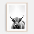 thumbnail image 2 of woolly cow - Photography Highland Cow Black and White Animal Portrait Farmhouse Rural Rustic Unframed Wall Art Print 12 x 18 inches, 2 of 60