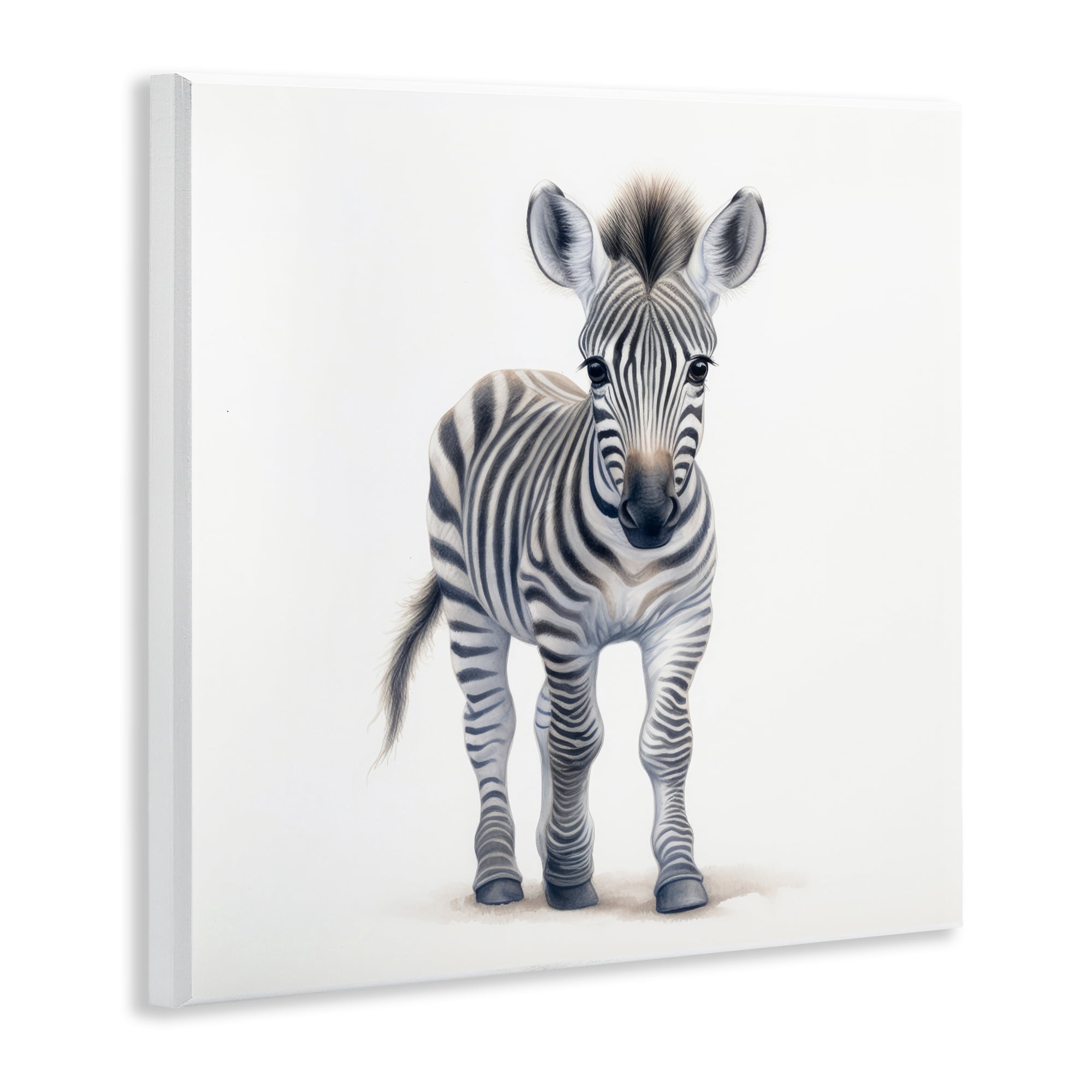 Stupell Industries Friendly Zebra Foal Wall Plaque Art, design by Ray Powers