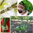 thumbnail image 7 of 200 Pcs Tomato Clips, Plastic Trellis Clips Plant Support Clips, Plant Clips for Support, Grape Vine, Tomato Vine, Vegetables Plants, Garden Clips to Grow Upright Makes Plants Healthier, 7 of 7