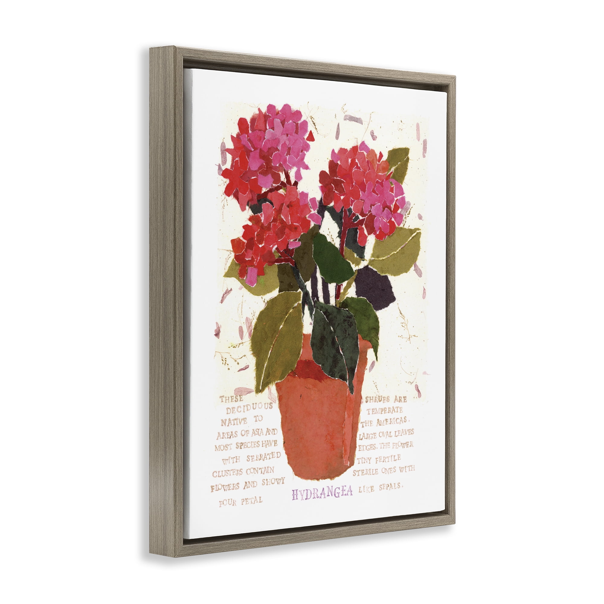 Stupell Industries Bold Red Hydrangea Botanical & Floral Painting Brown Floater Framed Art Print Wall Art, 25 x 31