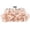 Champagne, variant on Womens Evening Clutches Floral Evening Handbag Ladies Wedding Party Chain Strap Shoulder Bag Purse