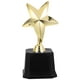 thumbnail image 1 of KAKOWELY Trofeo Estrella, Trofeo de Plástico, Trofeo de Ganador, Trofeo Decorativo, Modelo de Trofeo, Recuerdo de Fiesta, 1 of 5