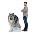 thumbnail image 3 of Advanced Graphics 733 Loup Taille Réelle Stand-Up en Carton, 3 of 4