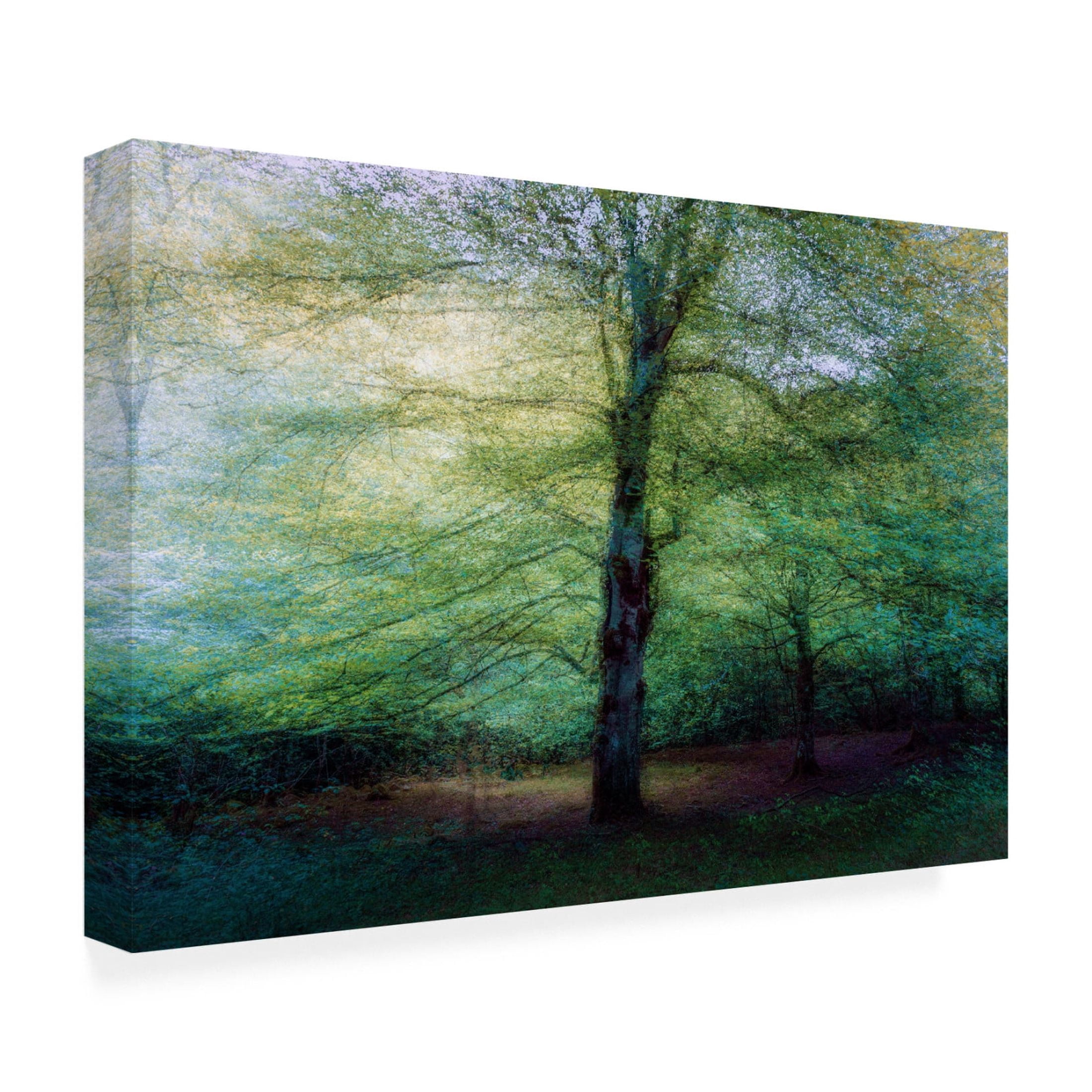 Canvas Wall Art - Marco Antonio Cobo 'Forest' Wall Art for Living Room, Bedroom, or Office Décor by Trademark Fine Art - 47 x 30 Inches