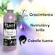 thumbnail image 2 of Shampoo Minoxidil, Aceite de Argán y Biotina para Mujer 500 ml – Estimula Crecimiento, Fortalece y Aporta Brillo, 2 of 5