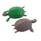 thumbnail image 1 of Juego de adornos decorativos de tortuga de pecera de plástico de 2 piezas, verde/gris, 1 of 2
