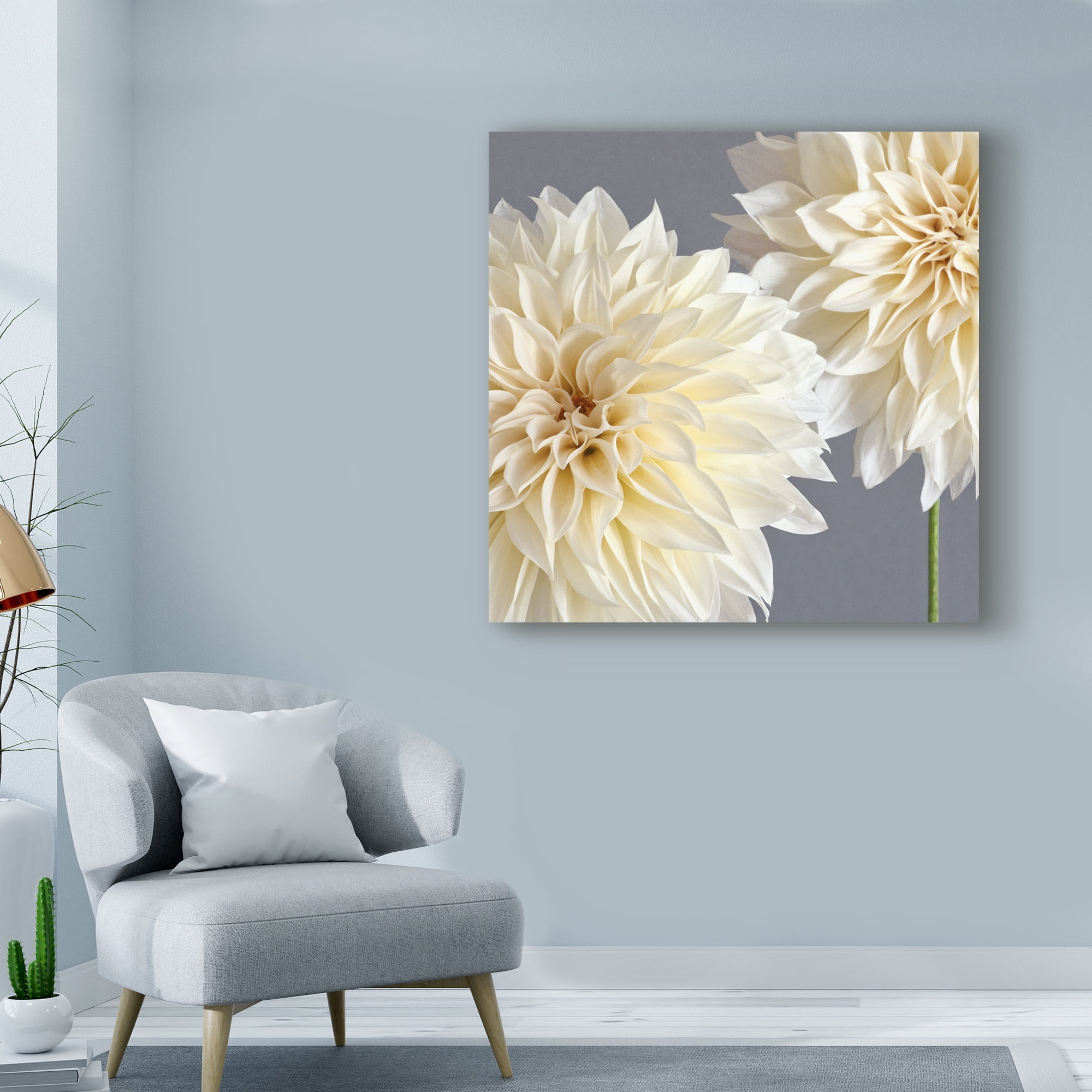 Trademark Fine Art '2 Cream Dahlias On Gray' Canvas Art by Tom Quartermaine