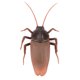 thumbnail image 5 of Juguete De Cucaracha, Juguete, Juguete De Regalo Interesante En Forma De Cucaracha Fácil De Operar Para Niños Para Amigos, 5 of 7