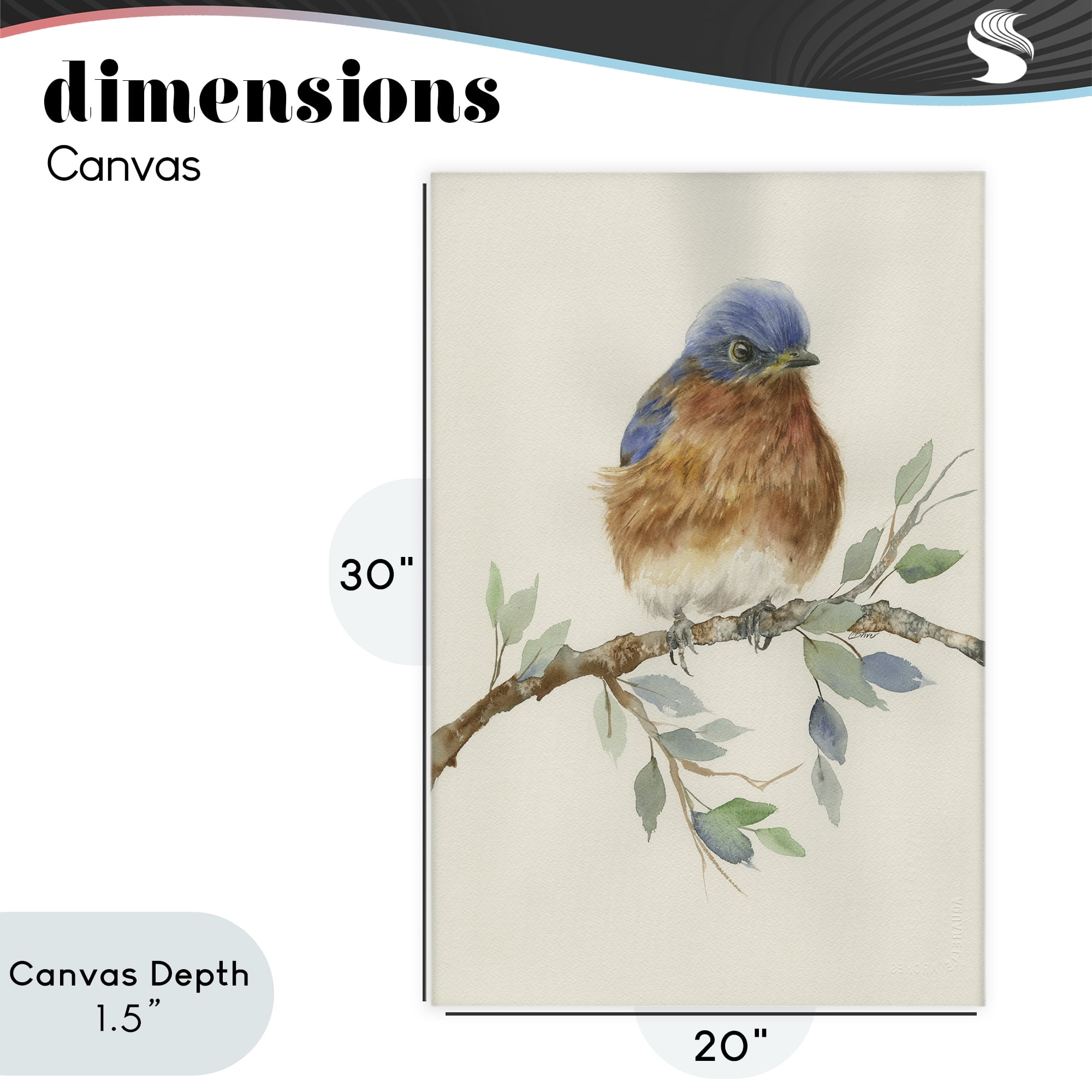 Stupell Industries Songbird Perched on Branch Canvas Wall Art, design by Cady Driver