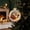 Glowing Christmas Story Ornament 4Multicolor,A, variant on Barsme Glowing Christmas Story Ornament,Christmas Angel Decoration Ball With LED Light,Mini Holiday Scene Hanging Tree Decor – Warm Glow Keepsake For Mantel Window And Gift Giving
