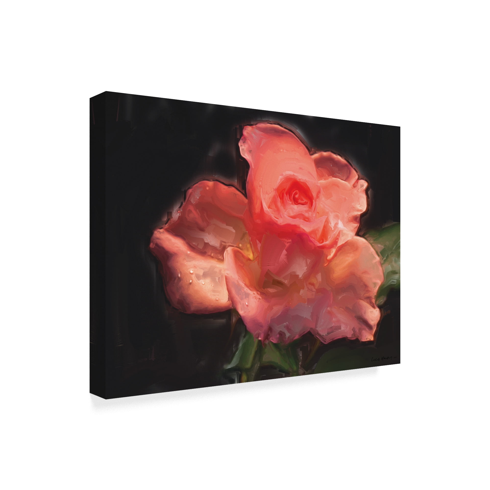 Trademark Fine Art 'Painterly Flower IV' Canvas Art by Lola Henry