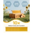 thumbnail image 2 of VEVOR Bee Hive Medium Box Starter Kit, 100% Beeswax Coated Natural Fir Wood, Langstroth Beehive Kit with 10 Frames and Foundations, Transparent Acrylic Bee Windows for Beginners and Pro Beekeepers, 2 of 9