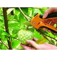 thumbnail image 3 of Professional Garden Bypass Hand Pruning Shears - Extra Sharp, Rust Proof, Safety Lock, Ergonomic, 3 of 8