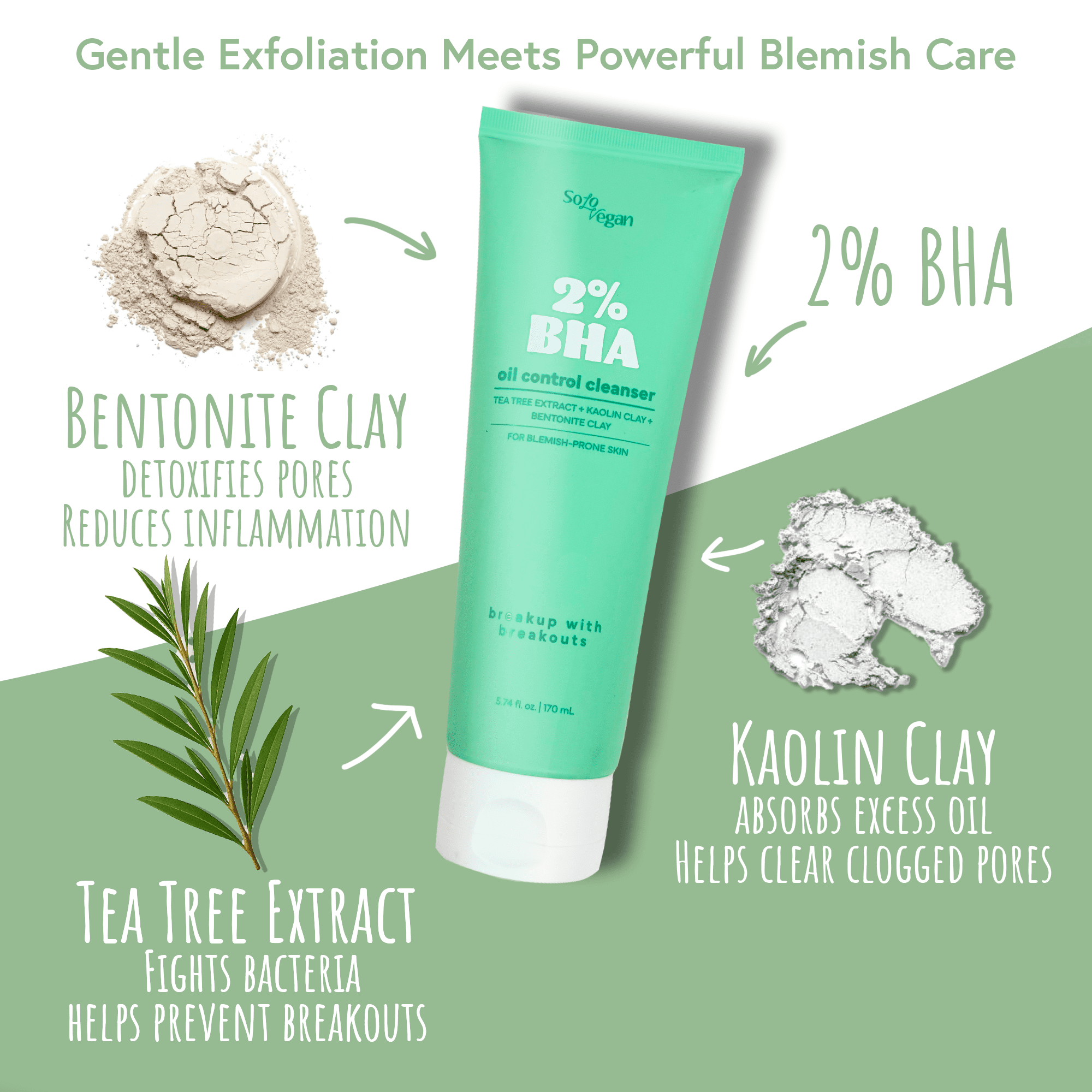 SoloVegan 2% BHA Oil Control Gel Facial Cleanser(170ml), Makeup Remover Cleanser, Korean Skincare