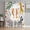 White, variant on Colorful Animals Flowers Sheer Curtains for Living Room Bedroom Spring Floral Elephant Sheer Curtains 45 Inch Long 2 Panels Set Light Filtering Curtain Window Treatments Drapes for Dining Room