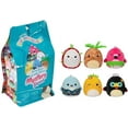 thumbnail image 1 of Squishmallows: Tropical Scented Mystery Squad - One 5" Mystery Pack, 1 of 1