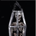 thumbnail image 5 of Halloween props cage skeleton skeleton people decoration supplies haunted house horror room escape mechanism decoration ornaments White, 5 of 8
