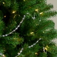 thumbnail image 2 of 9' Shiny and Matte Silver Beaded Christmas Garland, 2 of 2