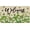 2026 Patricks Doormat 1, variant on Merry Christmas Door Mat Outdoor for Front Door,Merry & Bright Nutcracker Holiday Welcome Doormat,Winter Xmas Floor Rugs for Indoor Porch Entrance Farmhouse Decor 30" x 17"