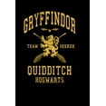 thumbnail image 2 of Boy's Harry Potter Gryffindor Quidditch Gold Team Seeker Graphic Tee Black Medium, 2 of 5