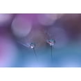 thumbnail image 3 of Nan, Juliana 24x17 Black Modern Framed Museum Art Print Titled - ~O~O~, 3 of 5