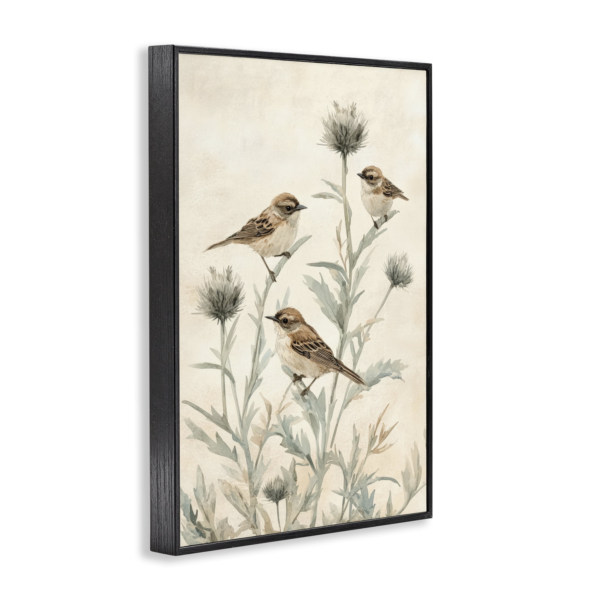 Stupell Industries Sparrows on Thistle Stems Black Framed Giclee Art, design by Petal Prints Design
