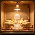 thumbnail image 6 of Large Capacity Quail Water Feeder, for Cage, Automatic Water Supply Designs, Baby Chick Waterer, Ideal Feeders for Baby Bird B, 6 of 6