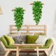 thumbnail image 4 of Plantas colgantes artificiales BLEUM CADE, 2 unidades, falsas, pothos, 4 of 7