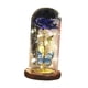 thumbnail image 1 of Lámpara LED de mariposa con forma de rosa de cristal, regalo de flor de rosa, te amo, regalos para su cumpleaños azul, 1 of 9