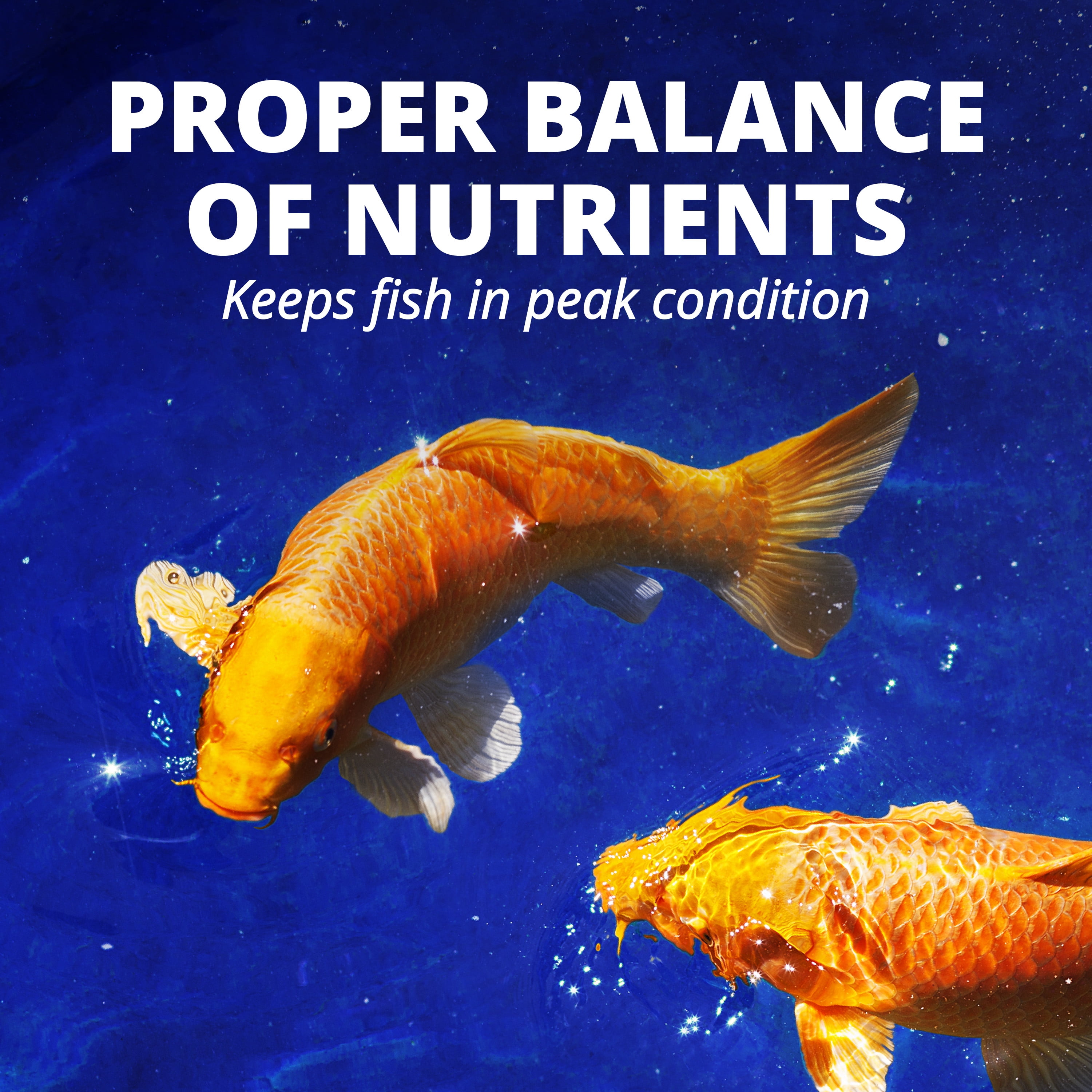 Tetra Pond Sticks Pond Fish Food for Goldfish and Koi, 3.7 lb