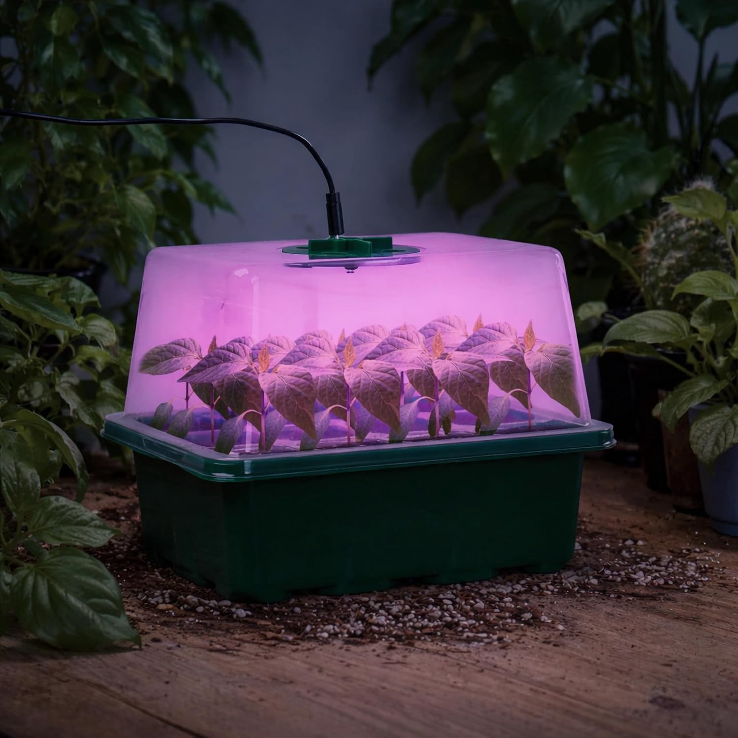 5 Packs Seed Starter Tray with Plant Light, Elevated Seedling Starter Trays Kits with Adjustable Humidity Domes and Clear Cell Tray, 12 Full Spectrum led lamp Beads for Plants Indoor-Green
