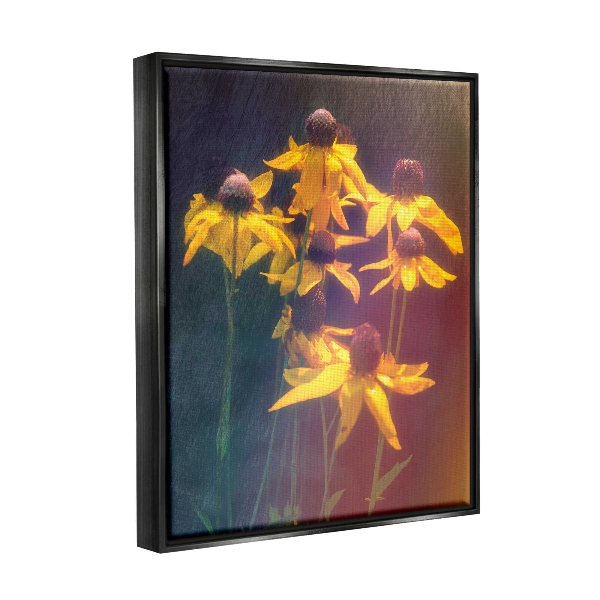Stupell Industries Black-Eyed Susan Photography Botanical & Floral Photography Black Floater Framed Canvas Art Print Wall Art, 25 x 31