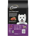 thumbnail image 3 of Cesar Filet Mignon and Spring Vegetables Dry Dog Food, 5 lb Bag, 3 of 11