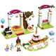 LEGO Friends Birthday Party 41110 – image 5 sur 5